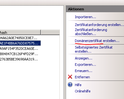 IIS-Manager - Domänenzertifikate